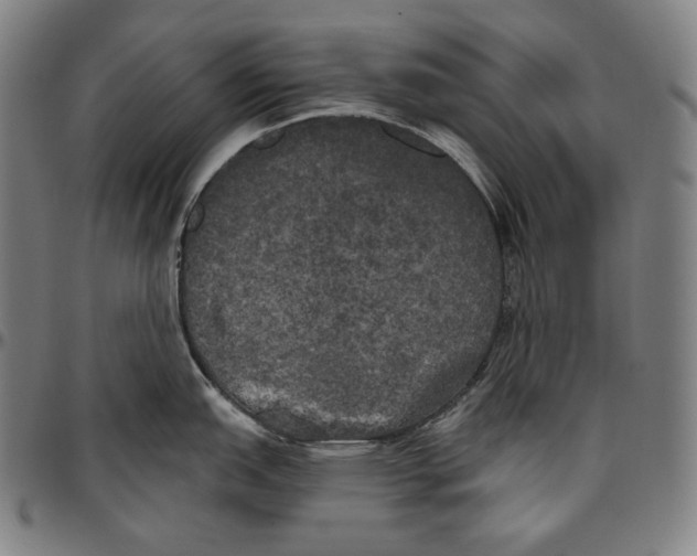 X0000096491151200802211232