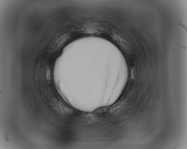 X0000096491155200802211231