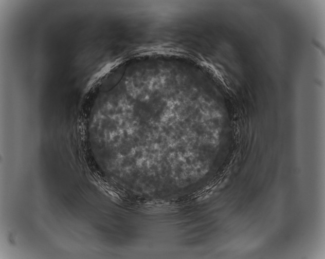 X0000096491159200802211231