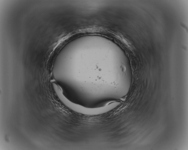 X0000096491160200802211231