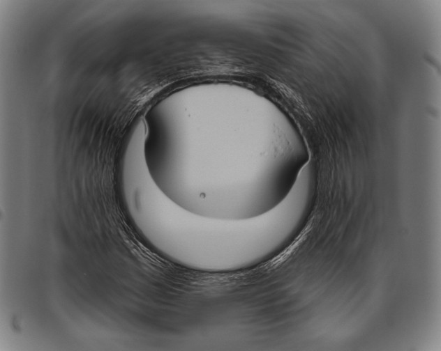 X0000096491161200802211231