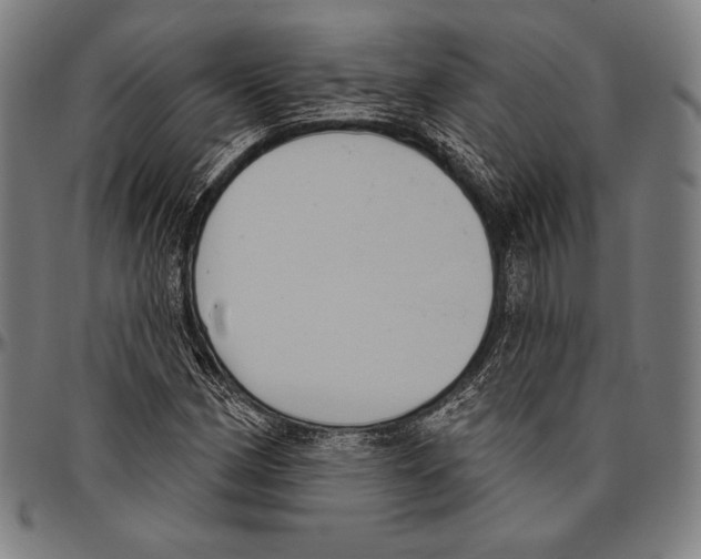 X0000096491162200802211231