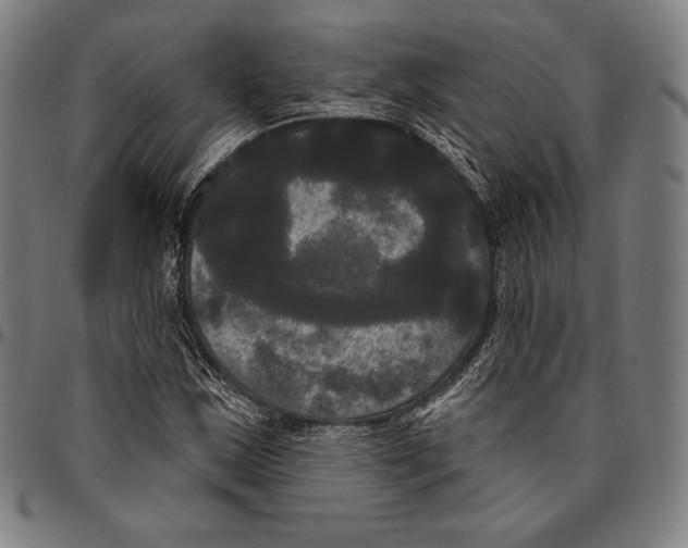 X0000096491163200802211231