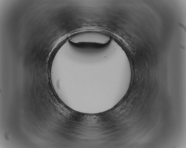 X0000096491168200802211231