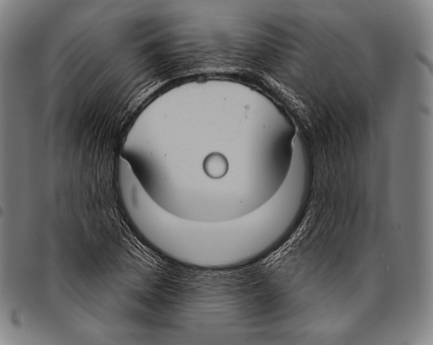 X0000096491169200802211231