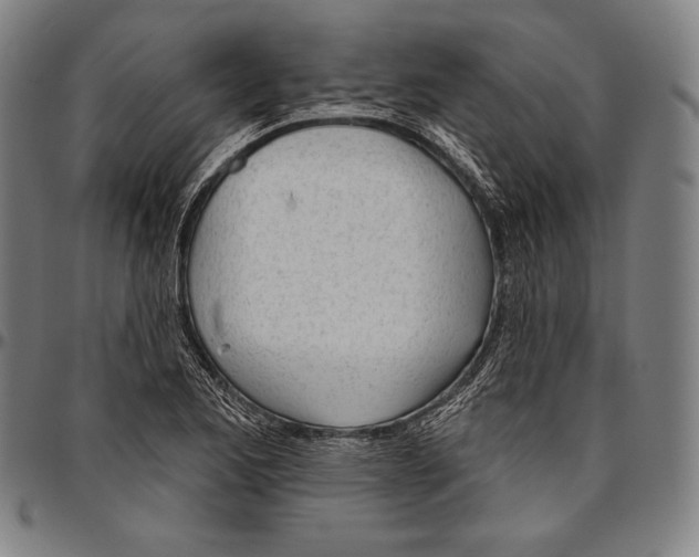 X0000096491173200802211231