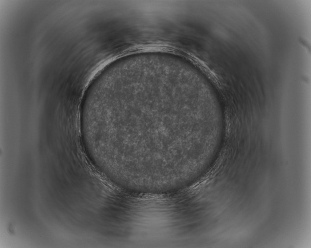 X0000096491174200802211231