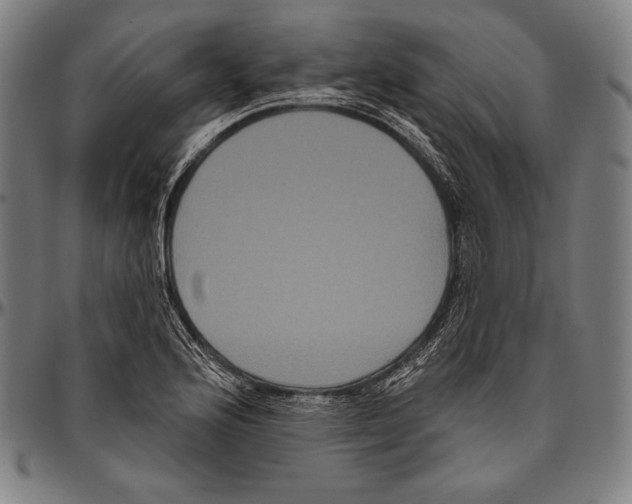 X0000096491176200802211231