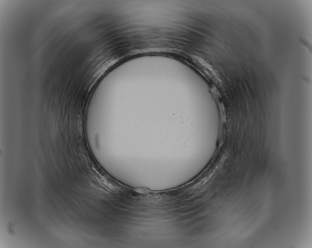 X0000096491177200802211231