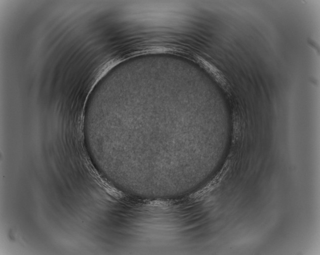 X0000096491178200802211231