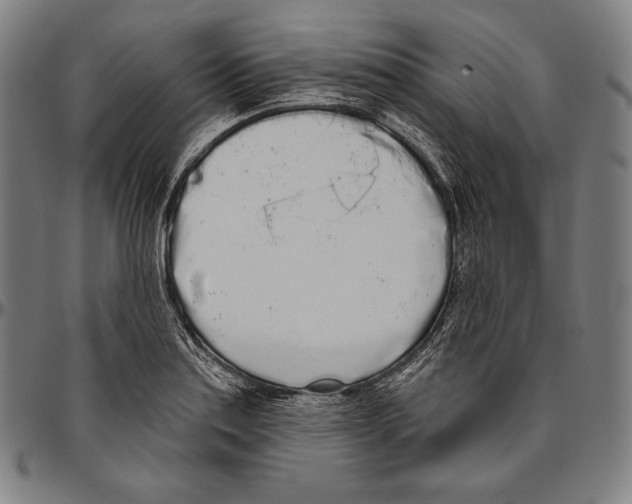 X0000096491179200802211231