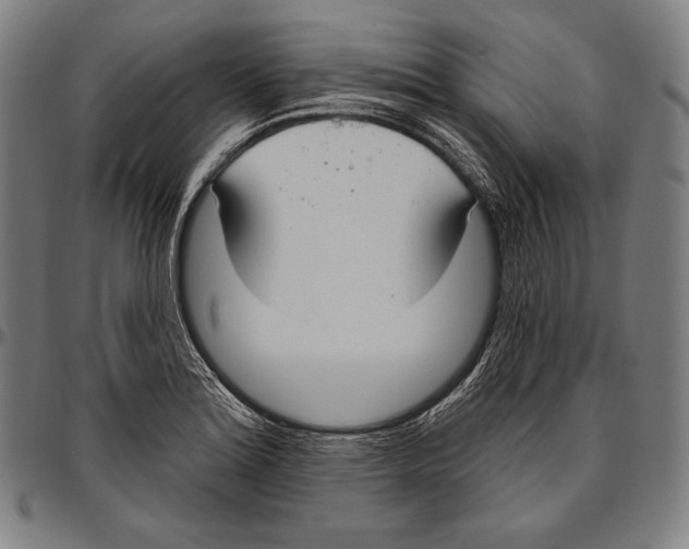 X0000096491180200802211231