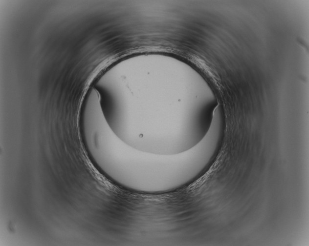 X0000096491181200802211230