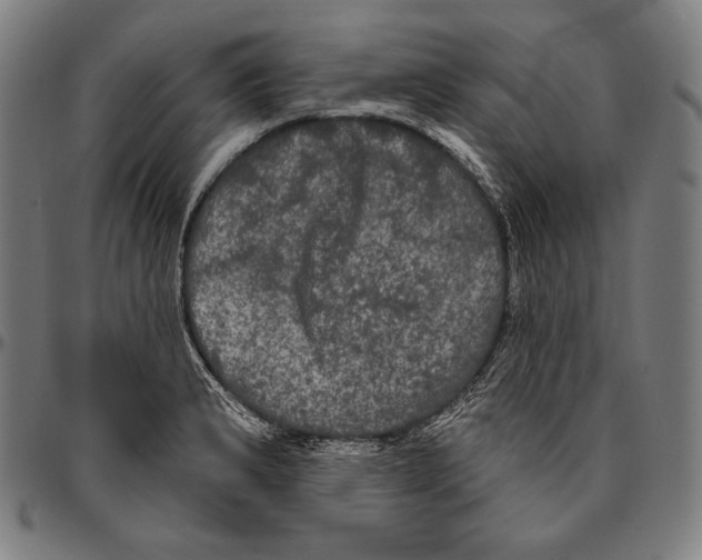 X0000096491183200802211230