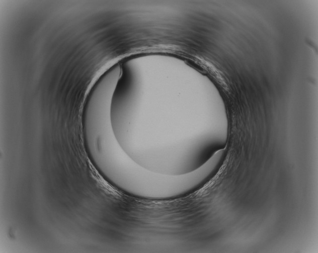 X0000096491184200802211230