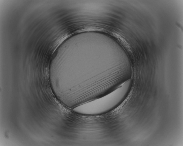 X0000096491185200802211230