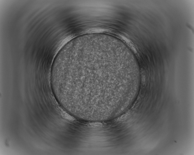 X0000096491186200802211230