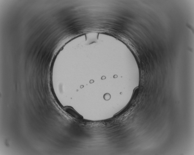 X0000096491187200802211230