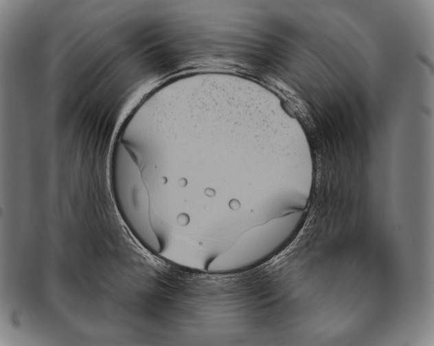 X0000096491188200802211230