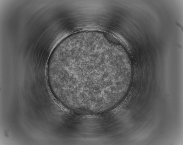 X0000096491190200802211230