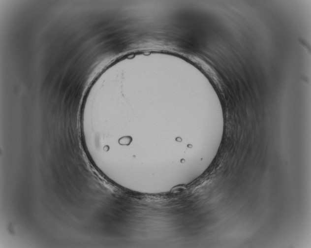 X0000096491191200802211230