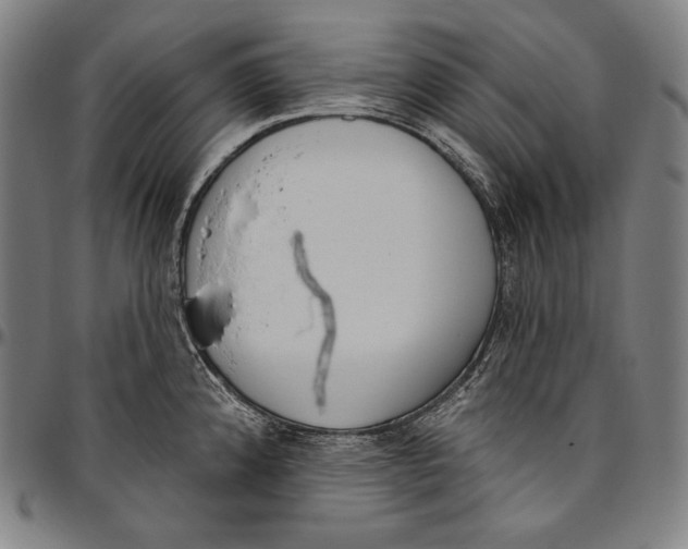 X0000096491192200802211230