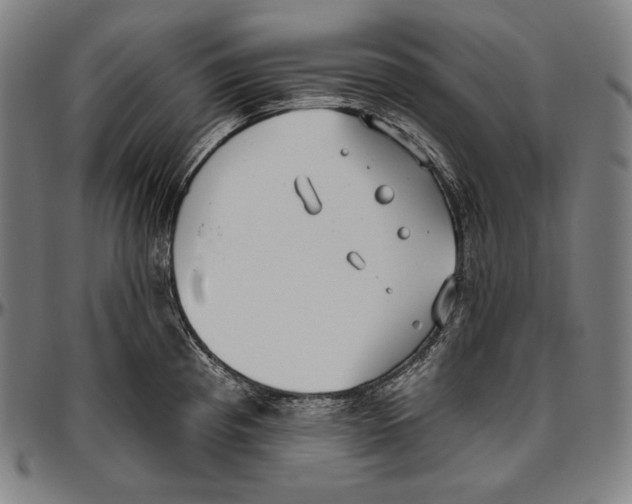 X0000096491193200802211230