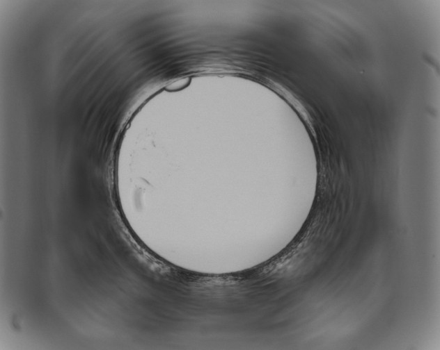 X0000096491195200802211230