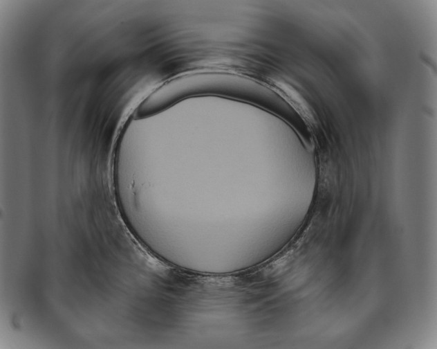 X0000096491196200802211230