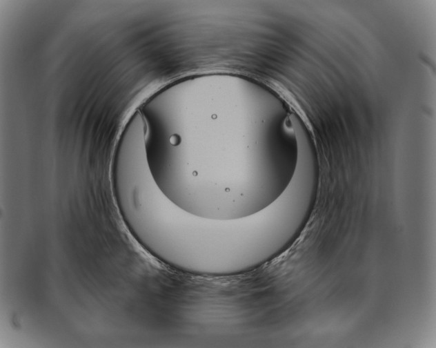 X0000096491197200802211230