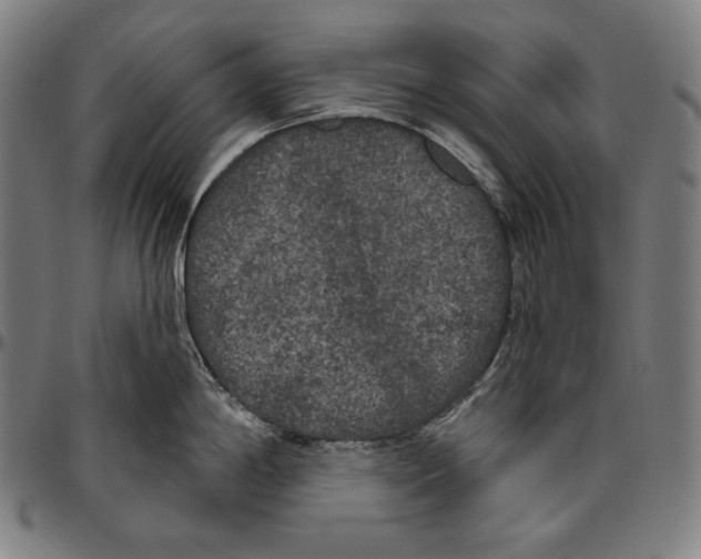 X0000096491198200802211230