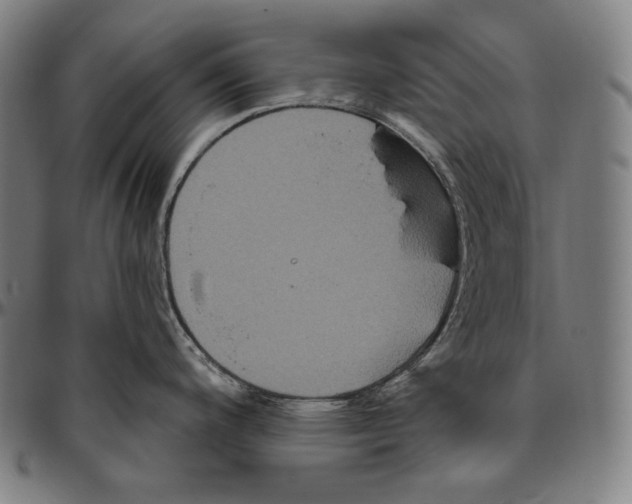 X0000096491200200802211230