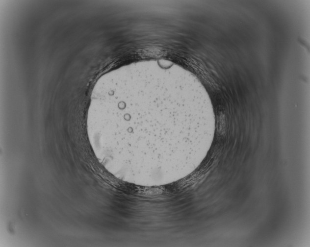 X0000096491201200802211229