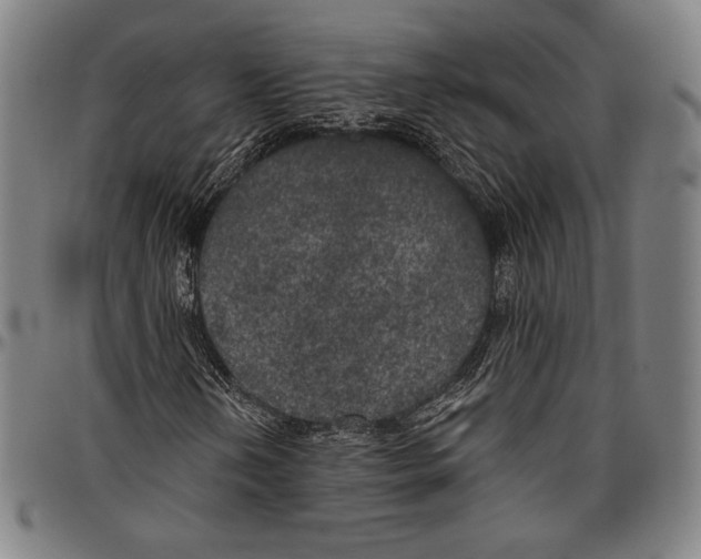 X0000096491202200802211229