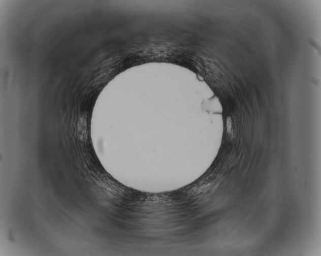 X0000096491203200802211230