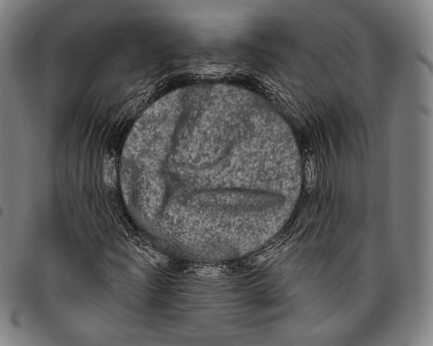 X0000096491204200802211230