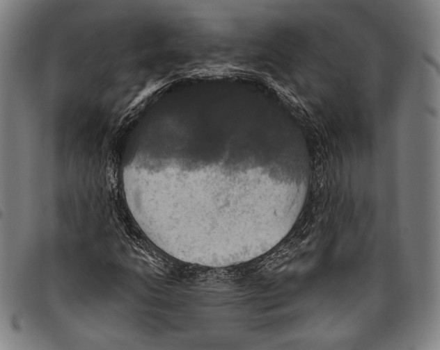 X0000096491206200802211230