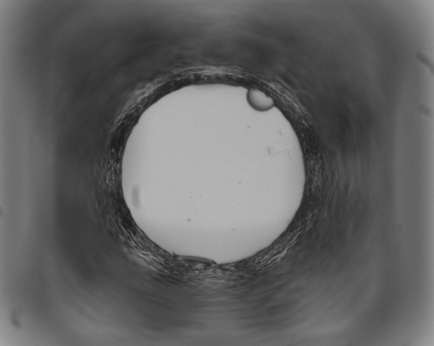 X0000096491207200802211230