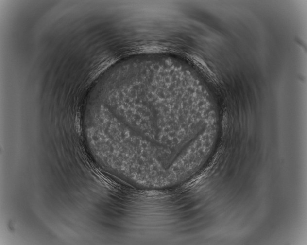 X0000096491209200802211230