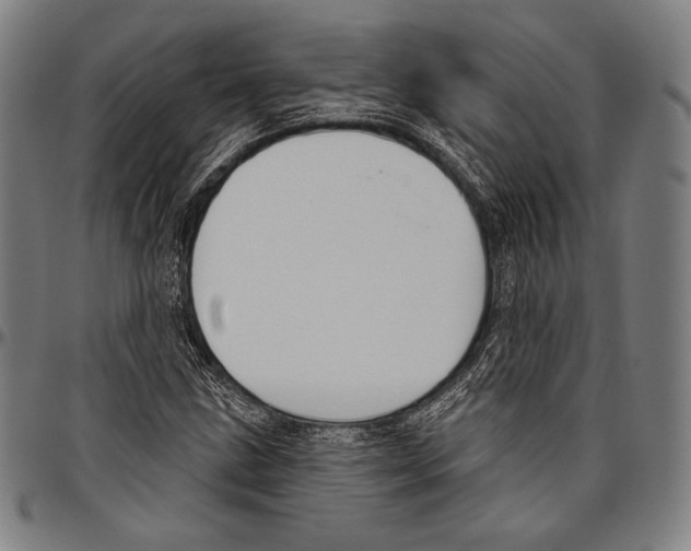 X0000096491211200802211230