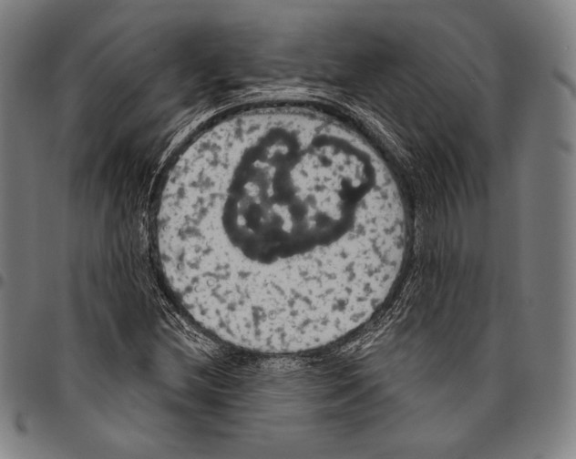 X0000096491212200802211230