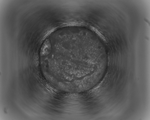 X0000096491213200802211230