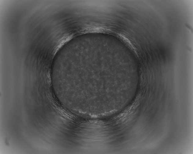 X0000096491218200802211230