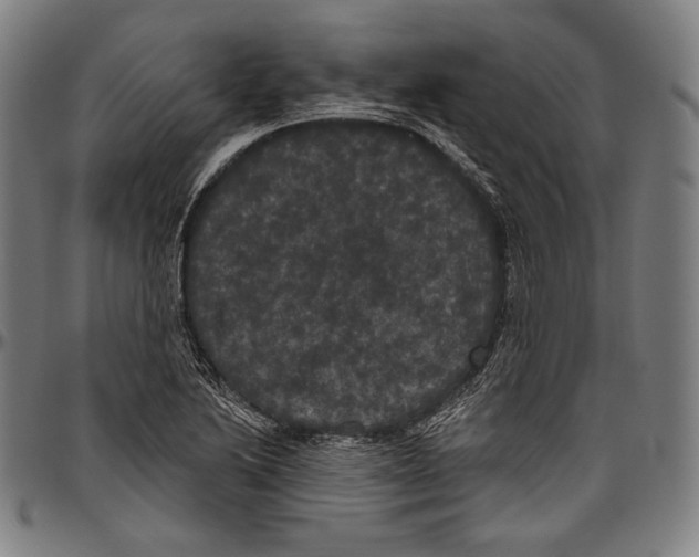 X0000096491222200802211230