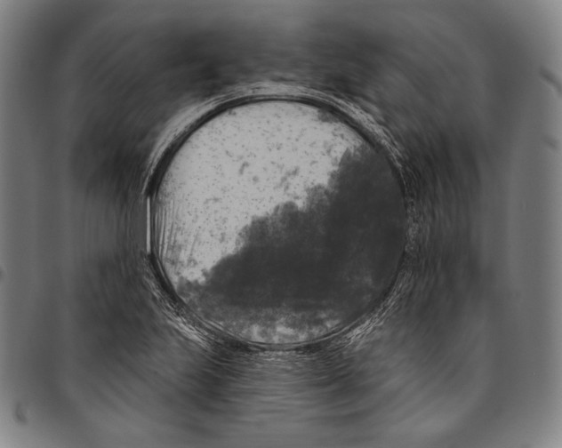 X0000096491223200802211230