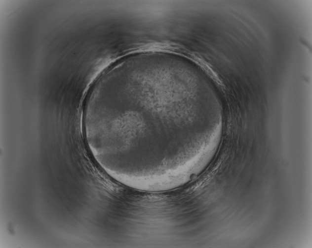 X0000096491224200802211230