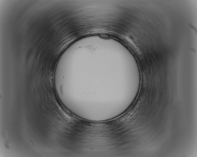 X0000096491225200802211230