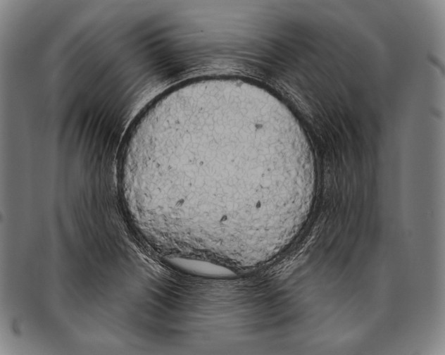 X0000096491226200802211230