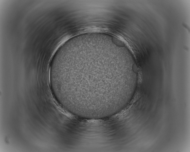 X0000096491227200802211230