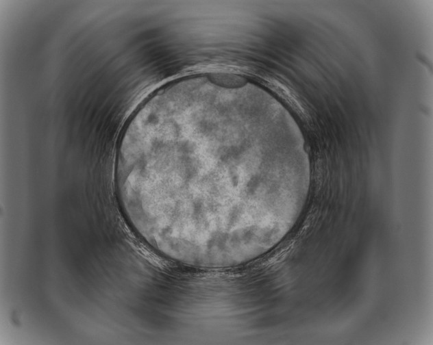 X0000096491228200802211230